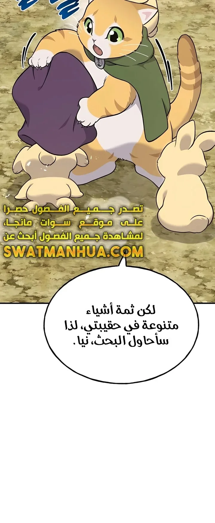 صفحة 13