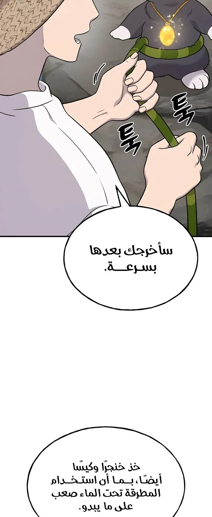 صفحة 46