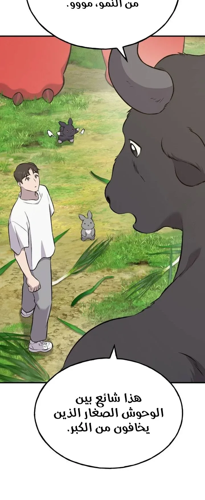 صفحة 11