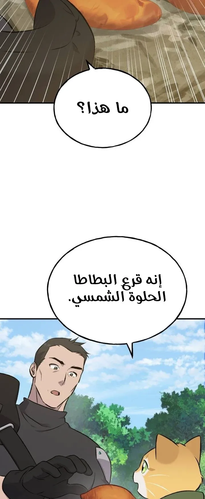 صفحة 29