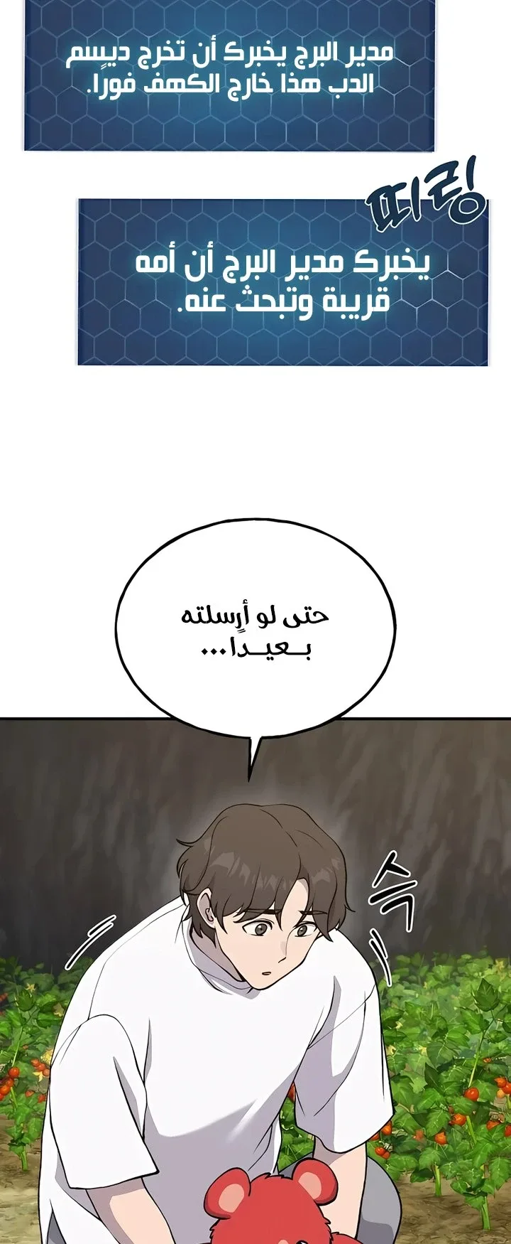 صفحة 13