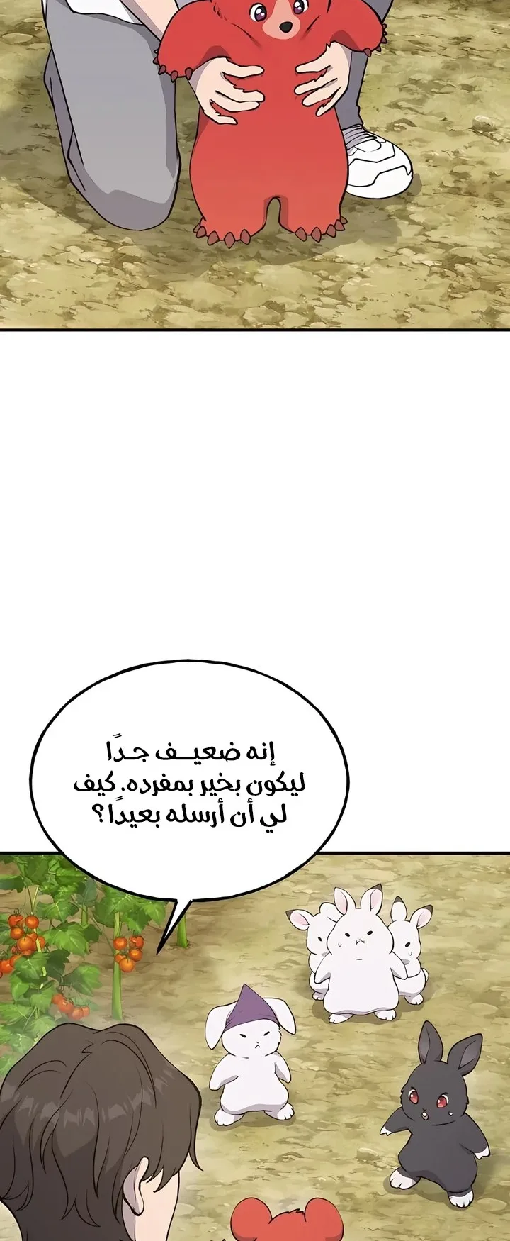 صفحة 14
