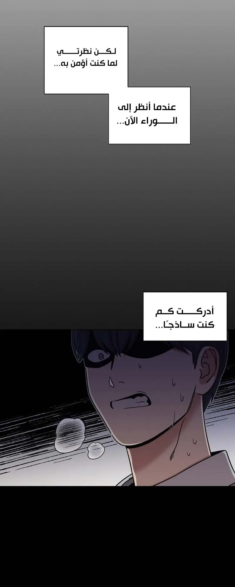 صفحة 13