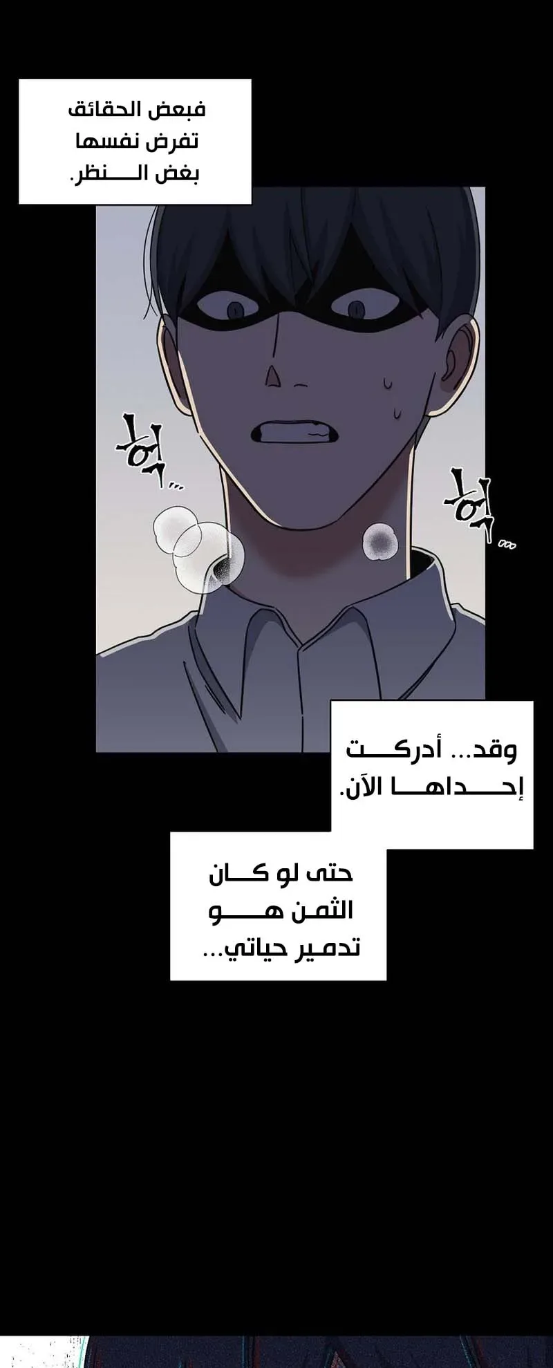صفحة 17