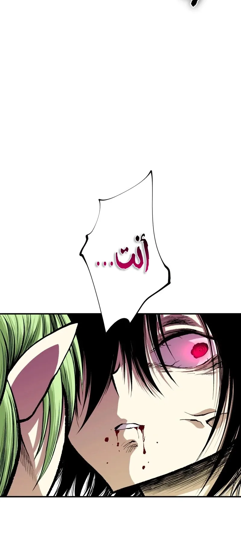 صفحة 13