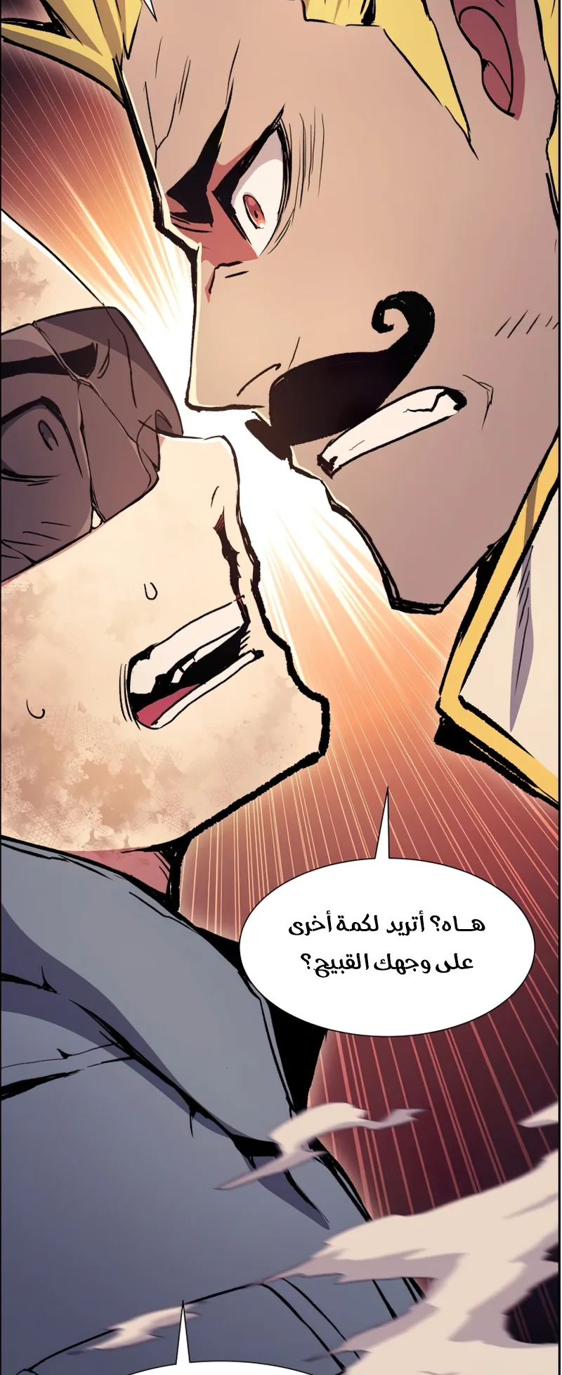 صفحة 17
