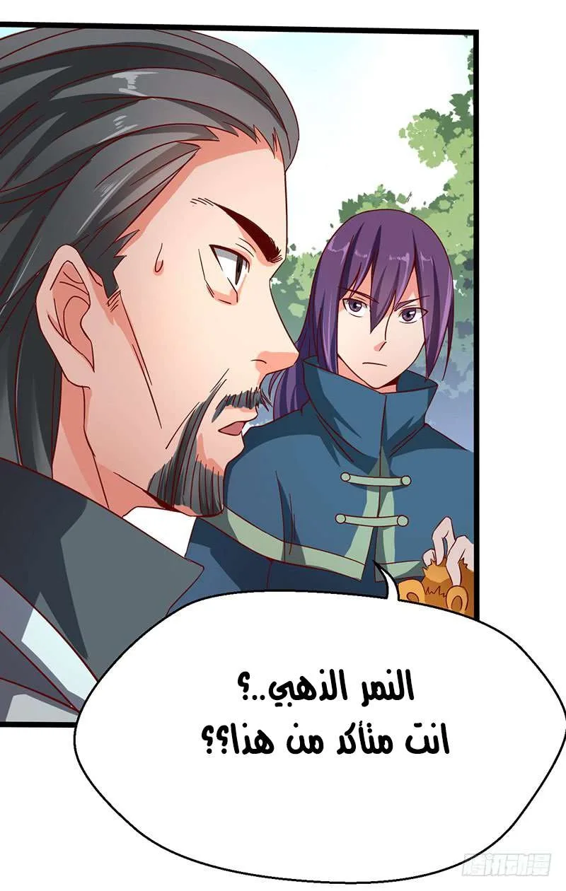 صفحة 17