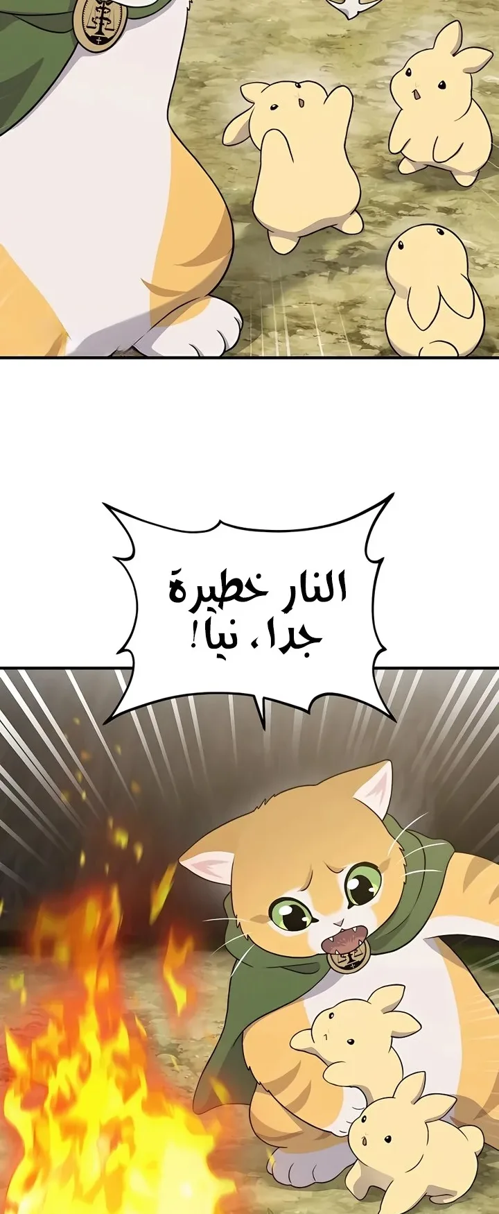 صفحة 10