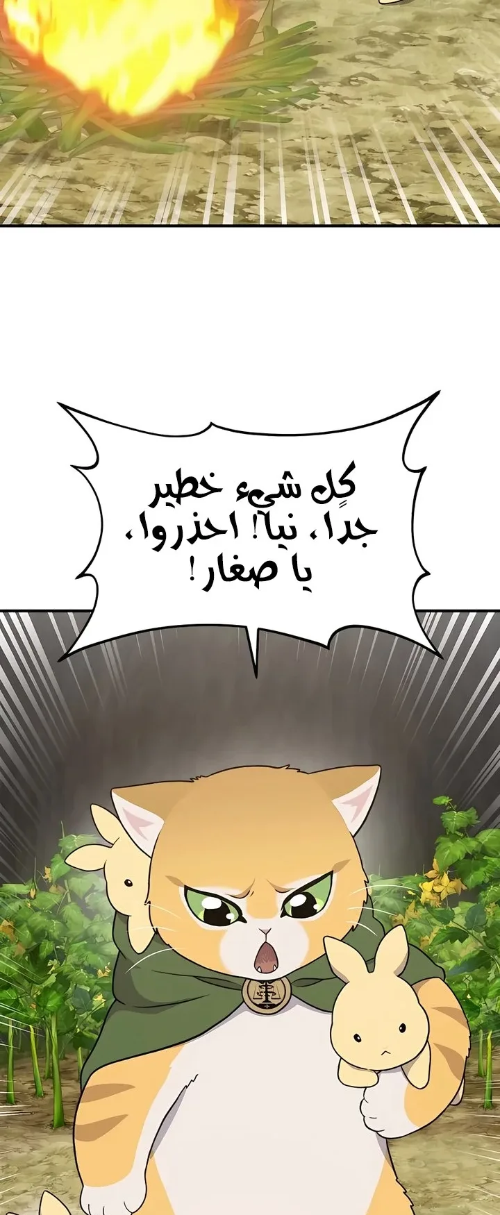 صفحة 11