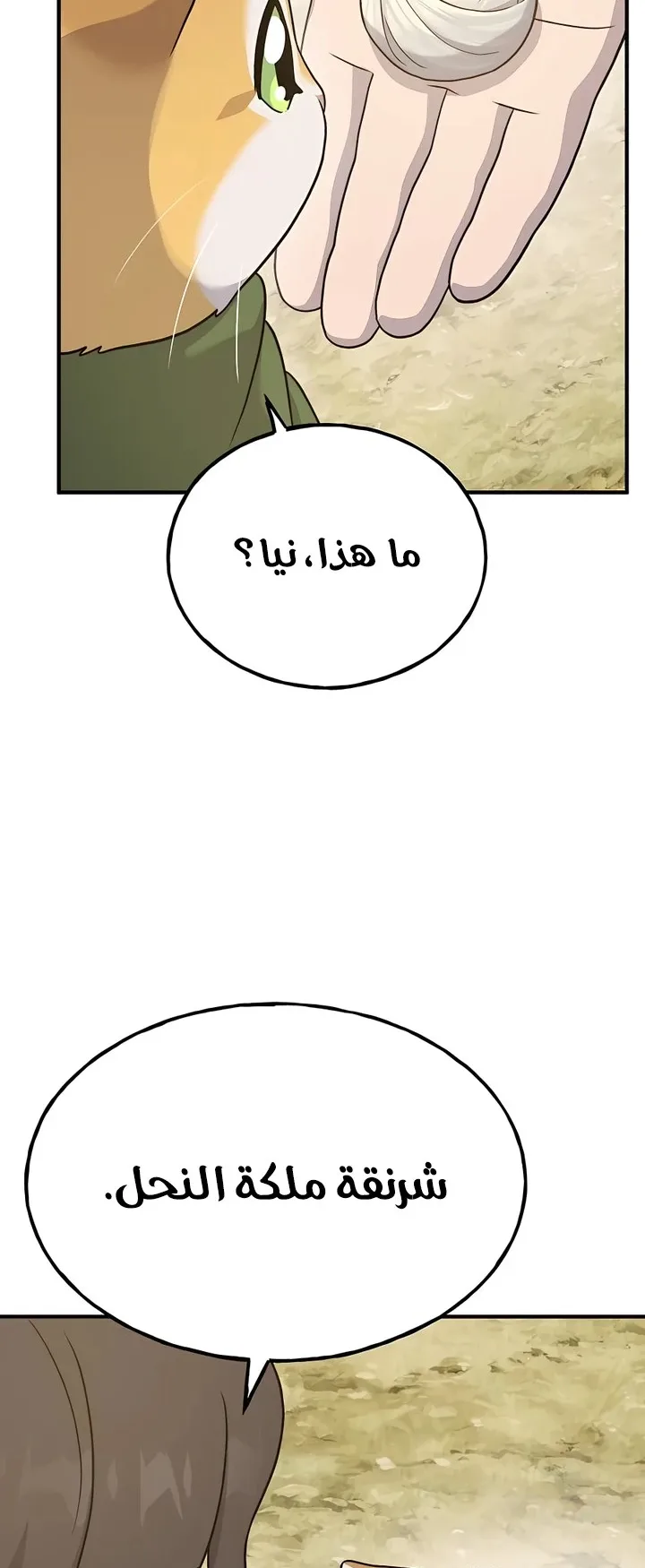صفحة 30