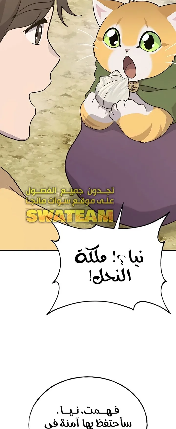 صفحة 31