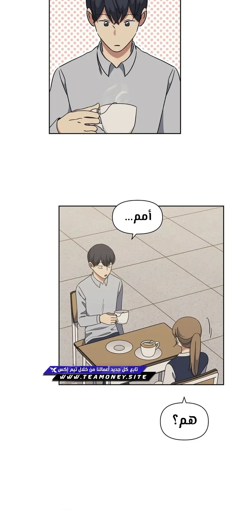صفحة 13