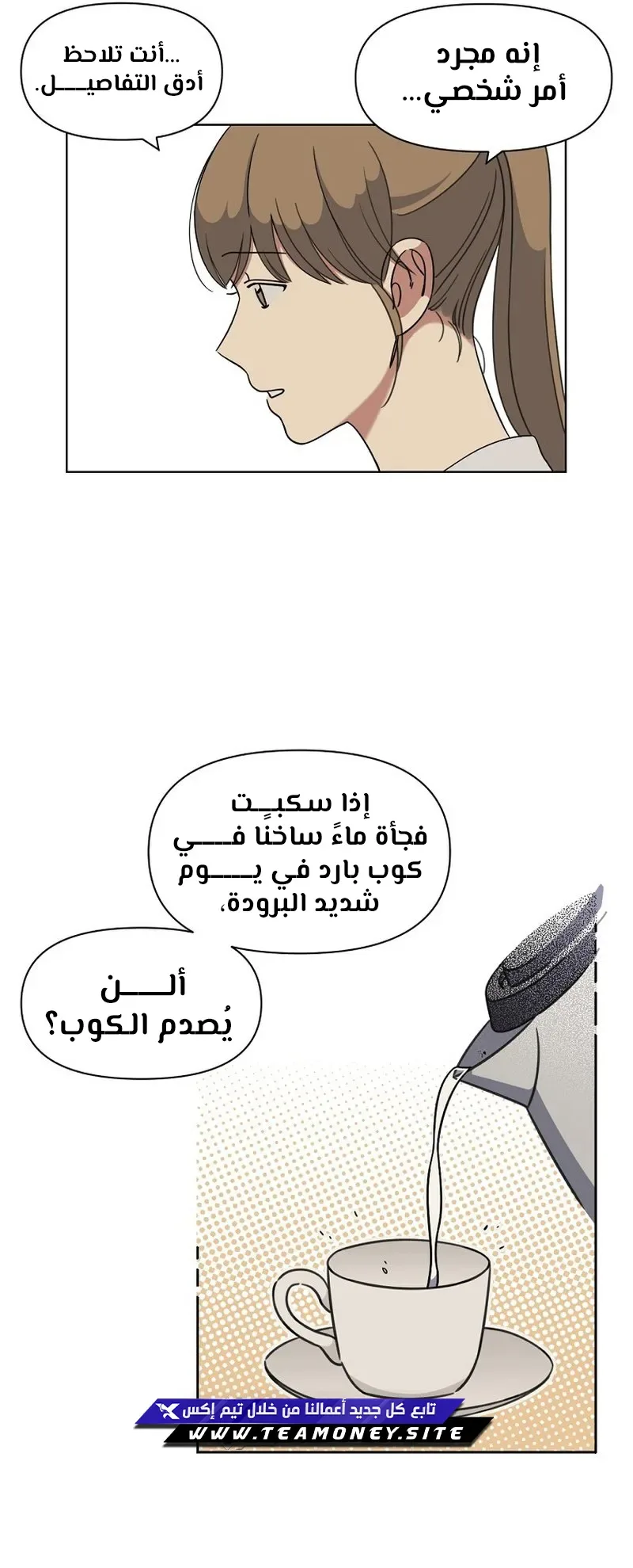 صفحة 17