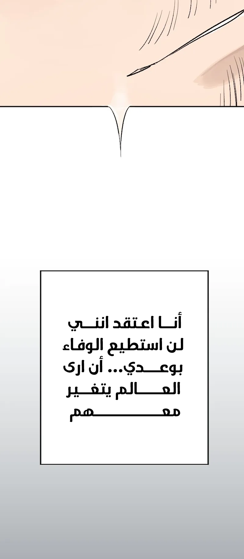 صفحة 13