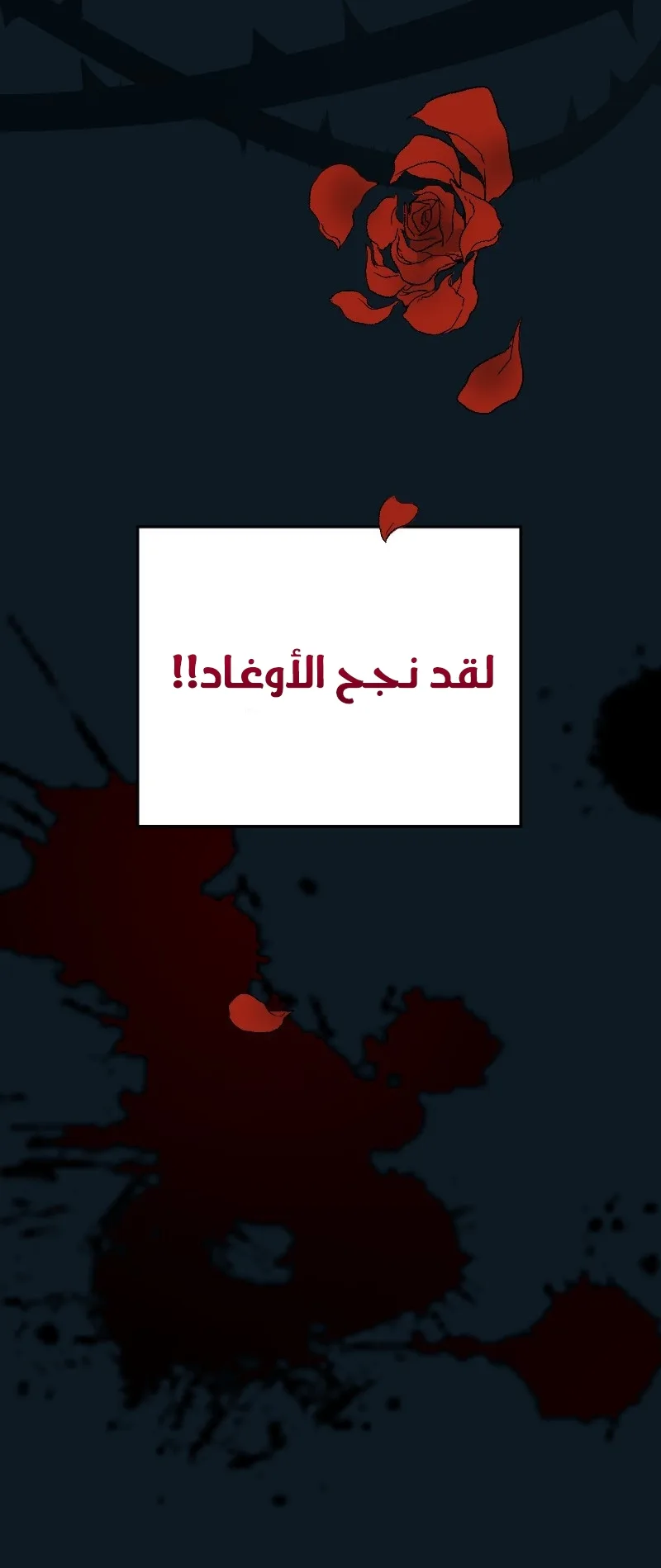 صفحة 25
