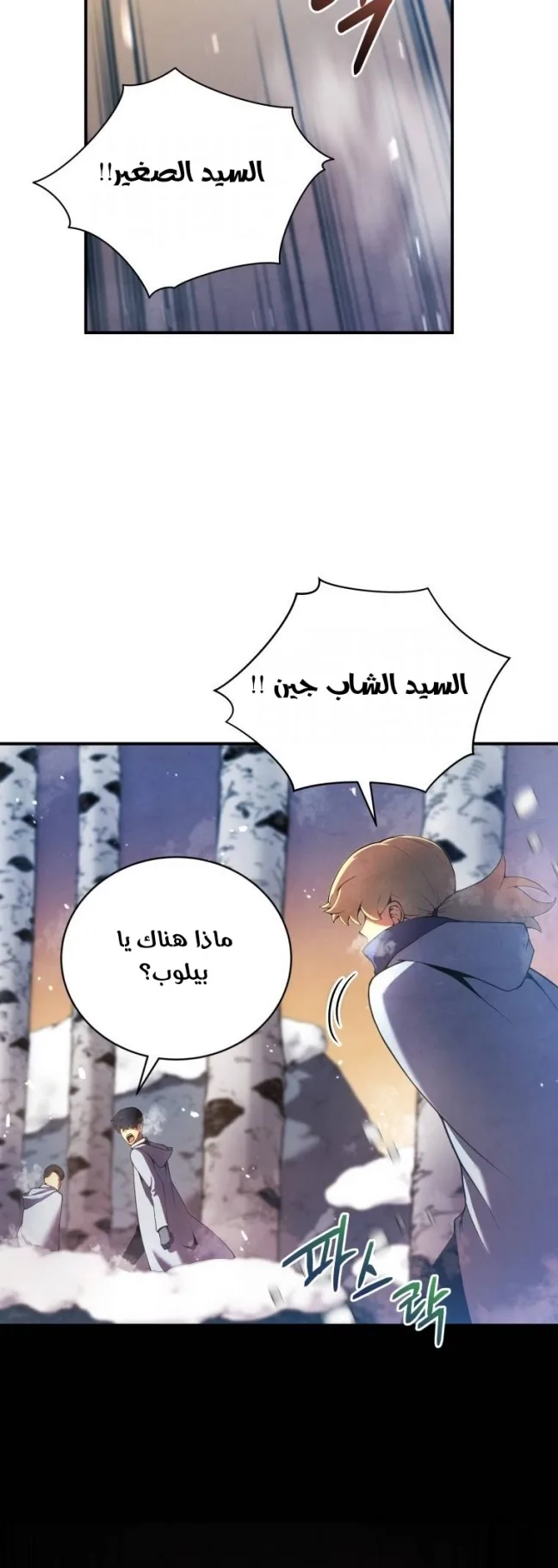 صفحة 13