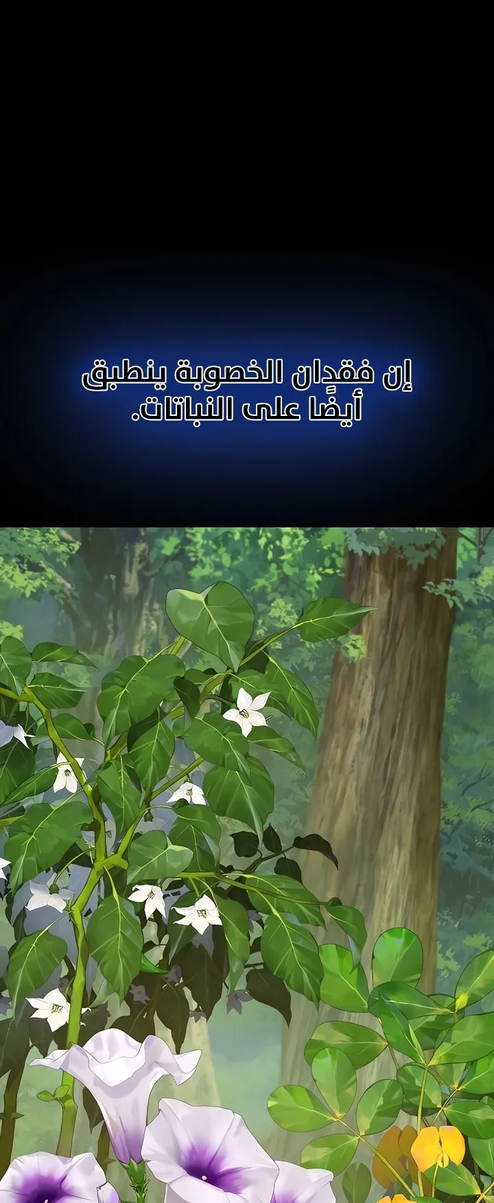 صفحة 24