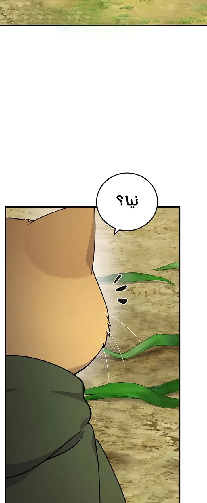صفحة 45