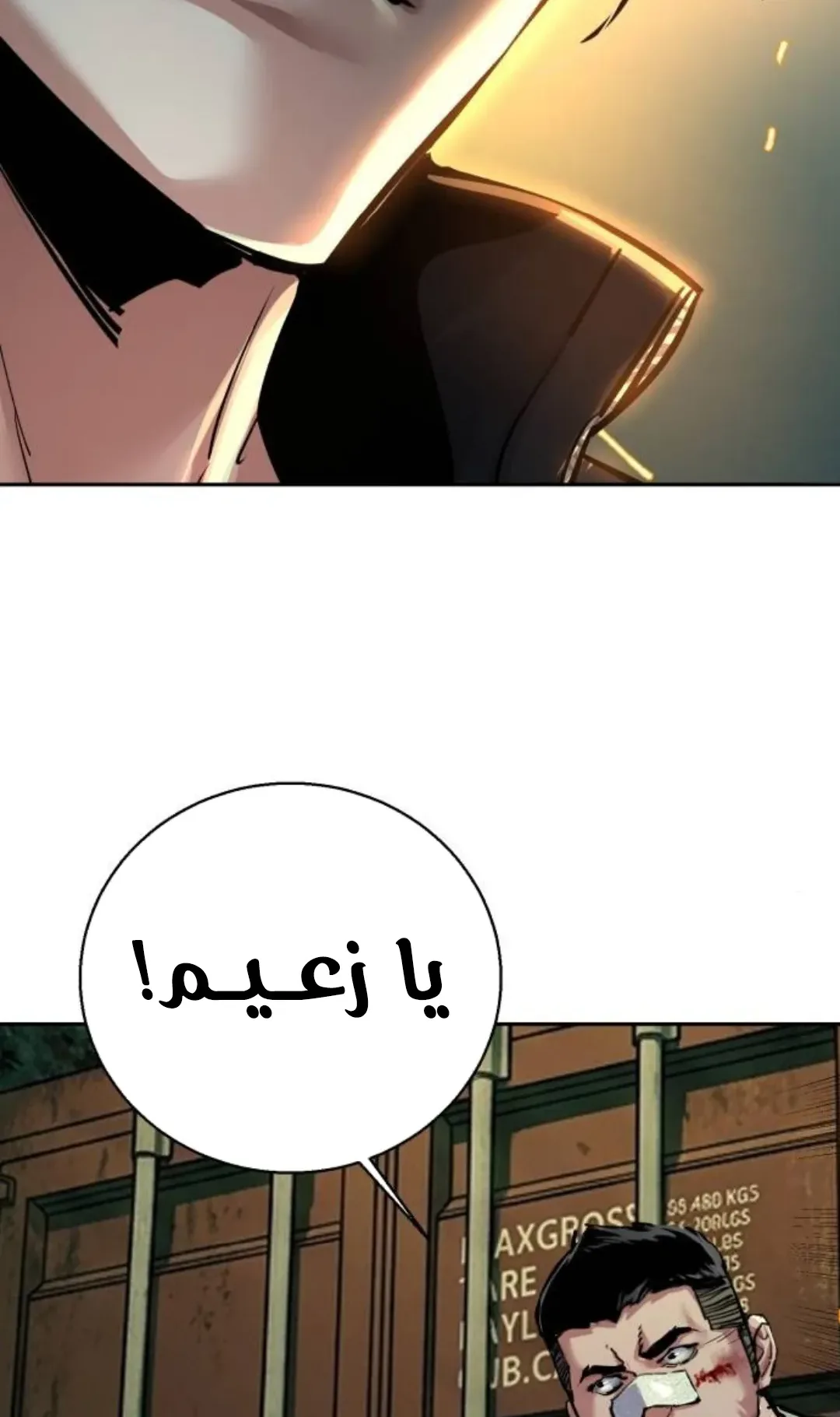 صفحة 17