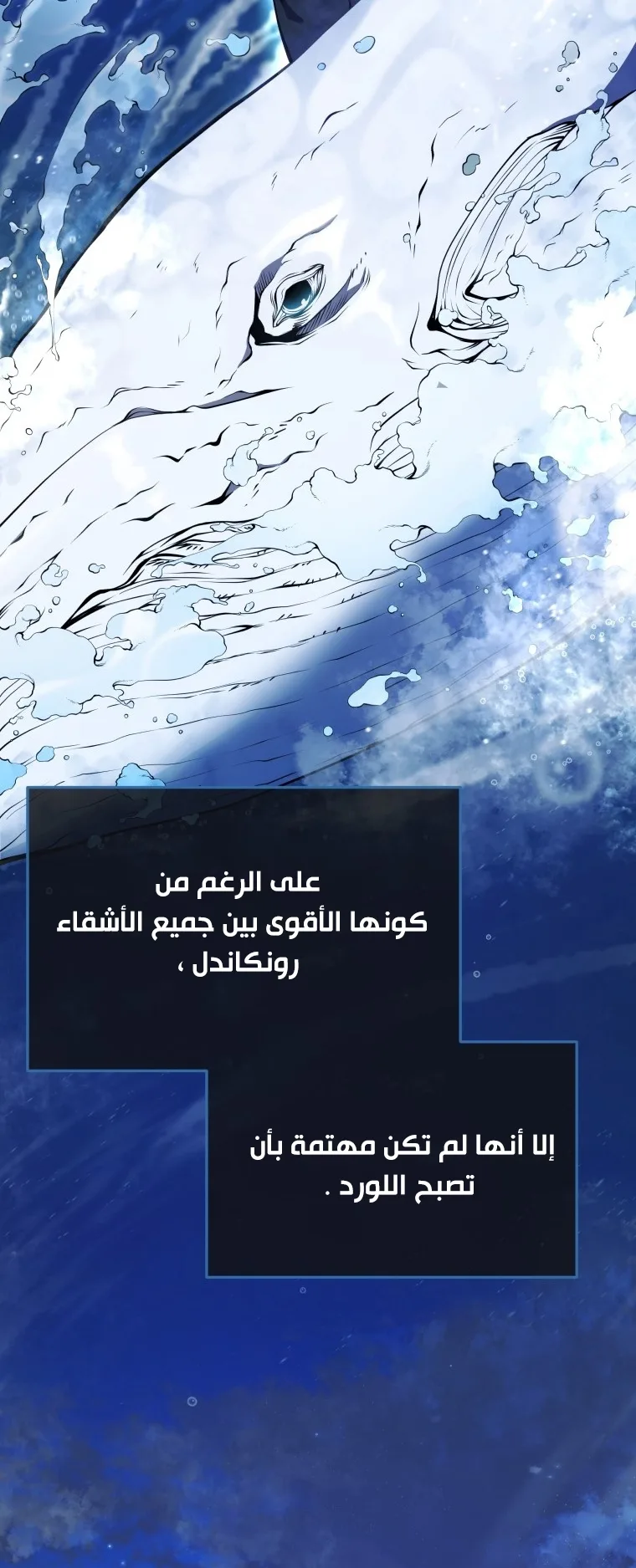 صفحة 13
