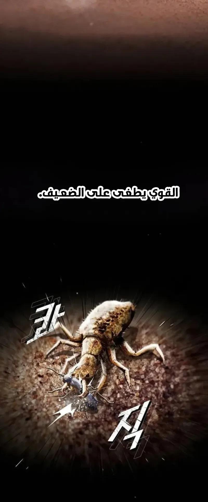The Genius Who Reads the World الفصل 15 صفحة 83