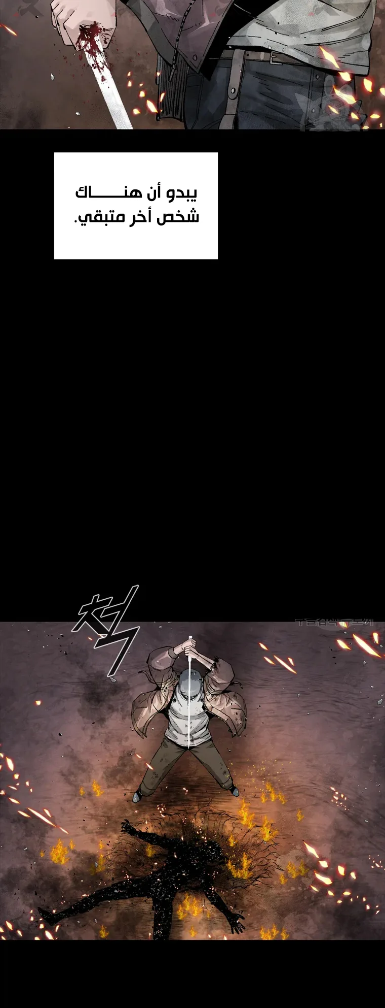 صفحة 14
