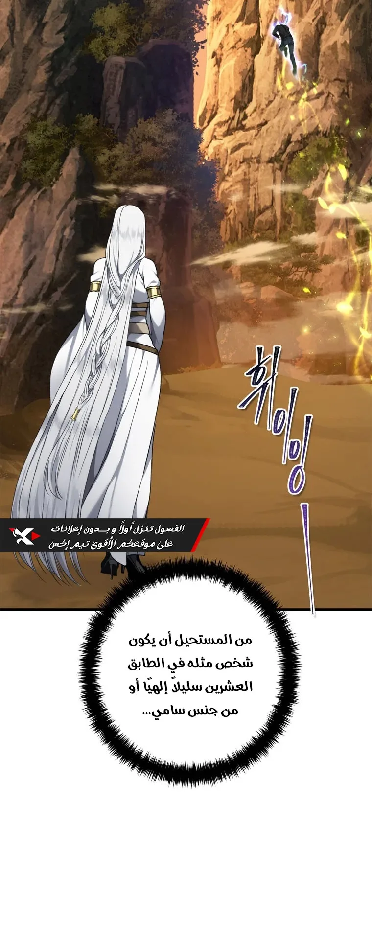 صفحة 17
