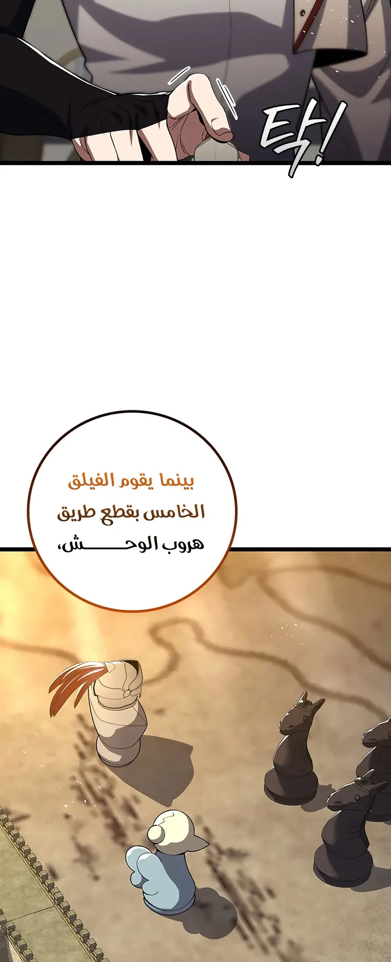 صفحة 13