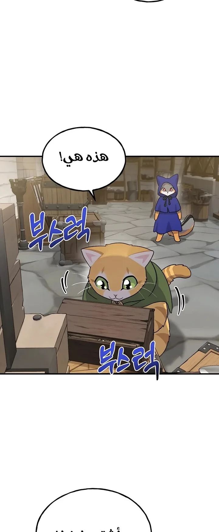 صفحة 11