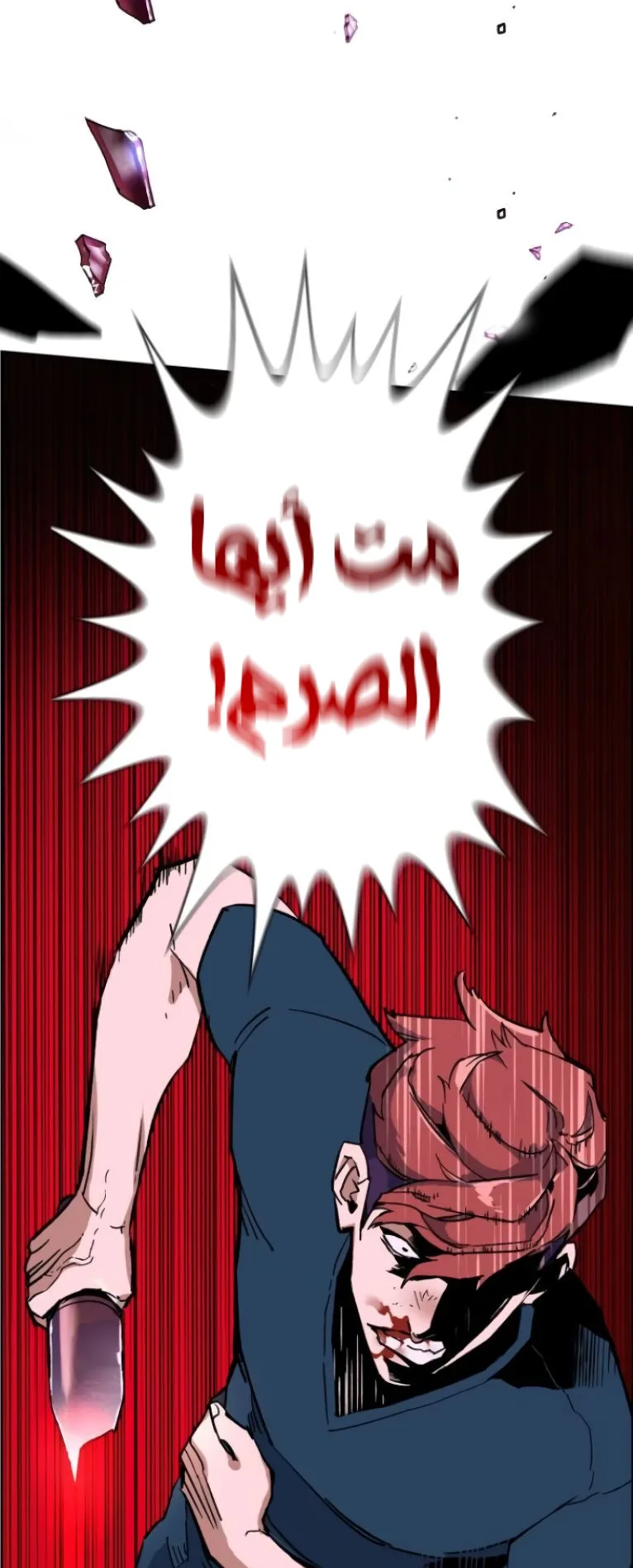 صفحة 17