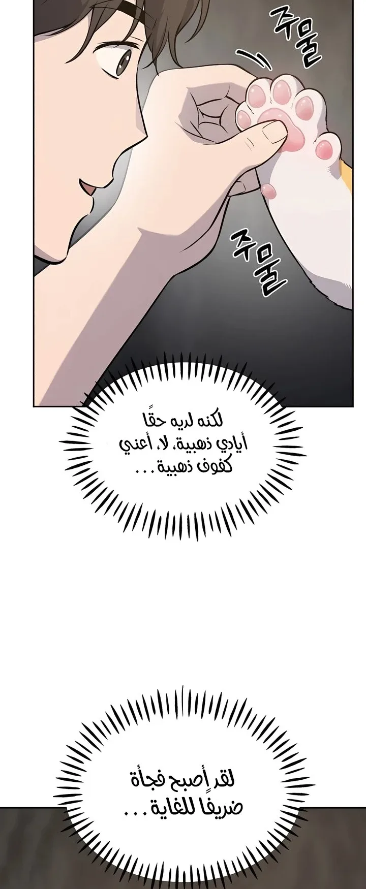 صفحة 11