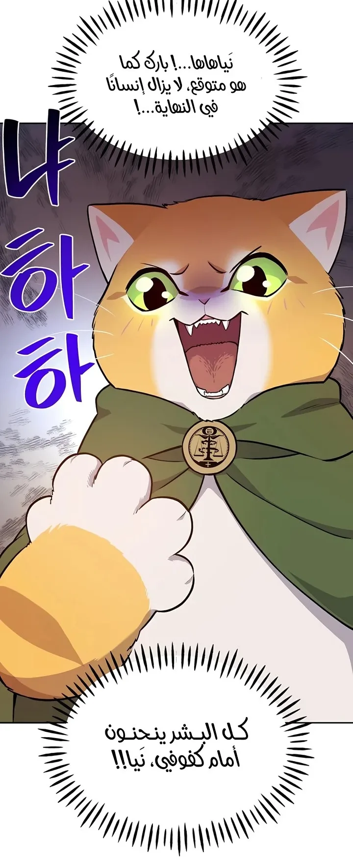 صفحة 14