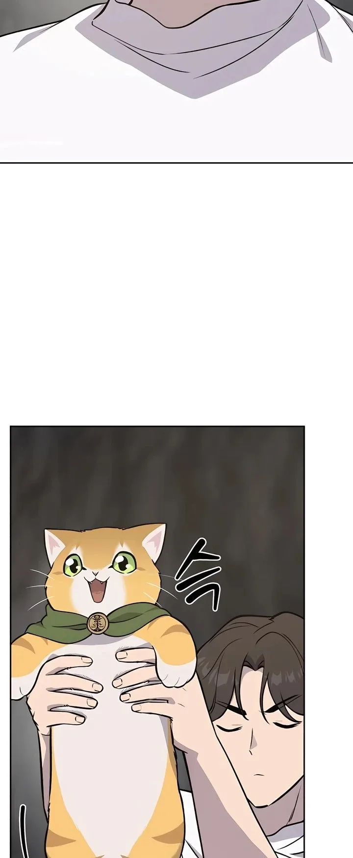 صفحة 17