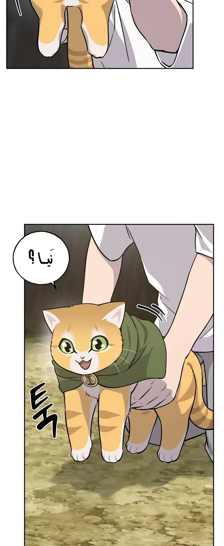 صفحة 18