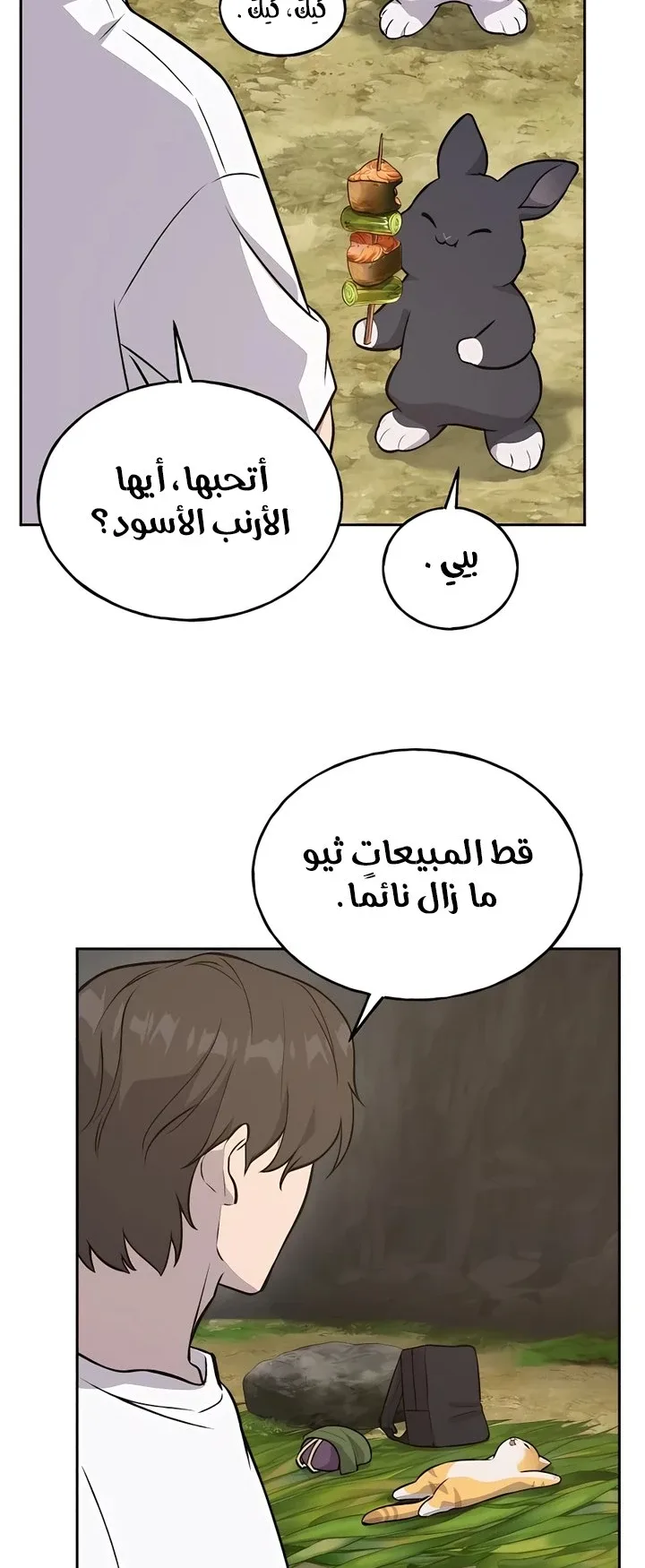 صفحة 43