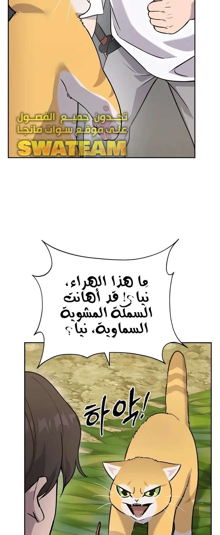 صفحة 46