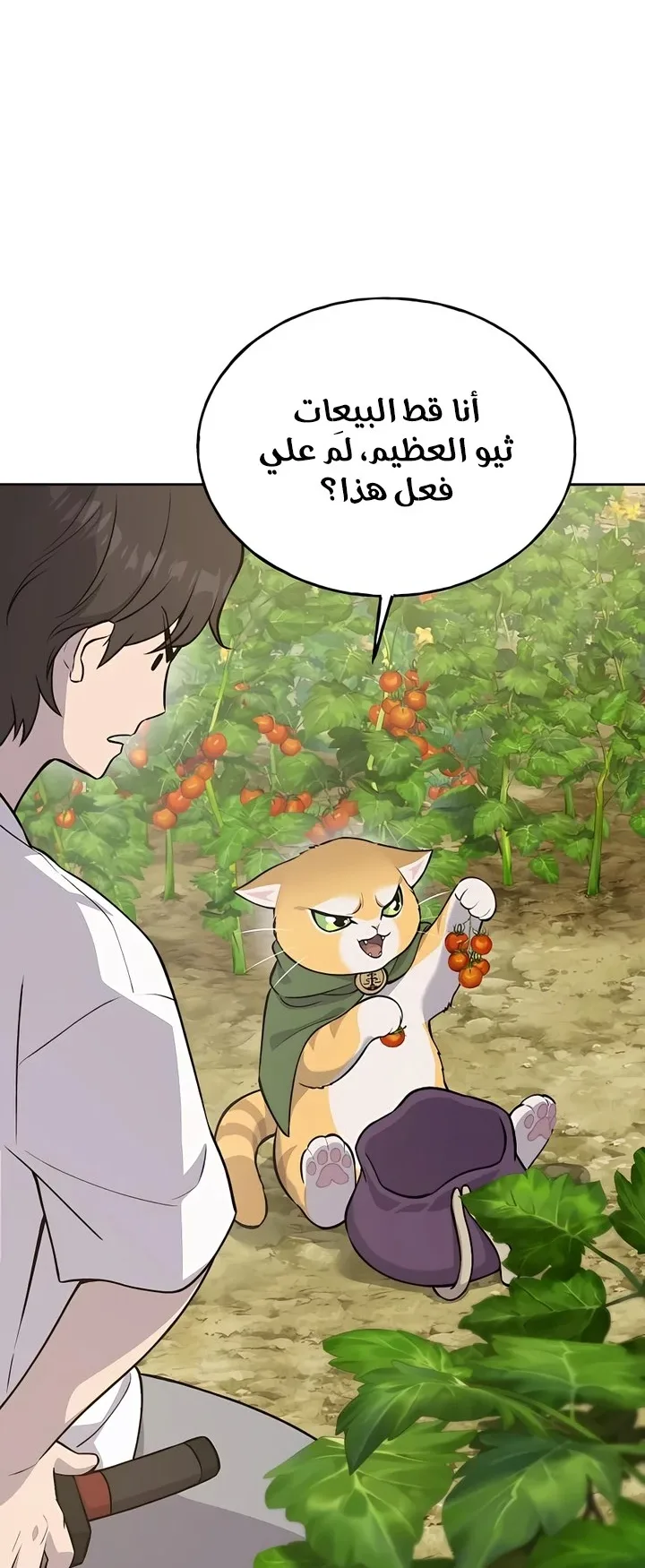 صفحة 54