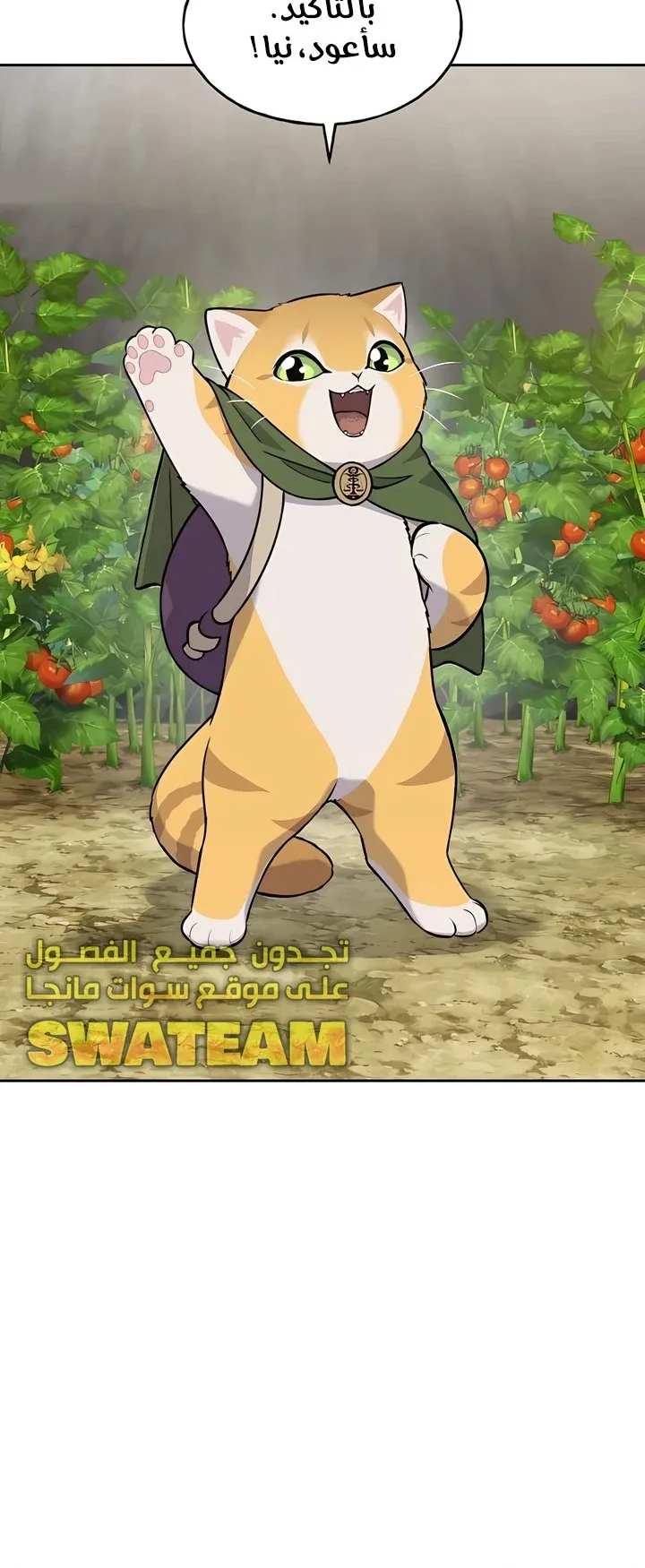صفحة 62