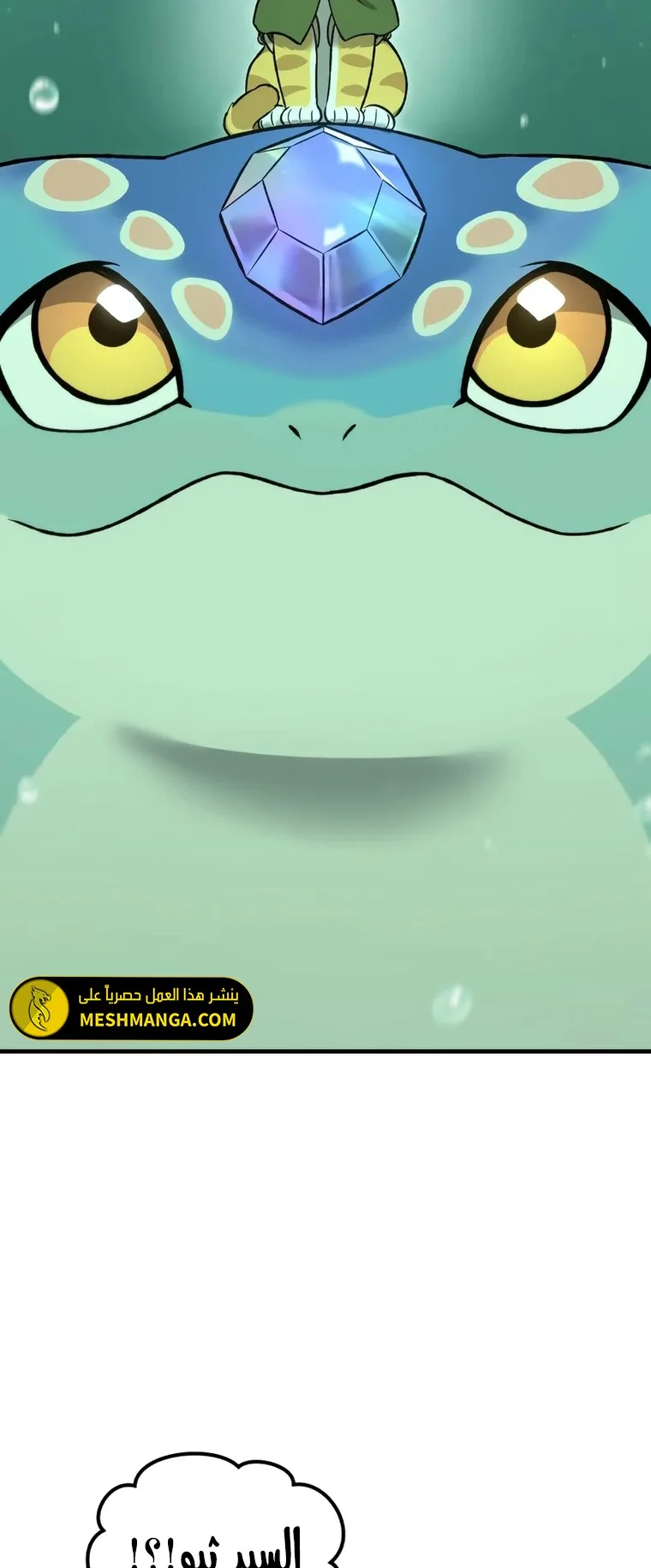 صفحة 23