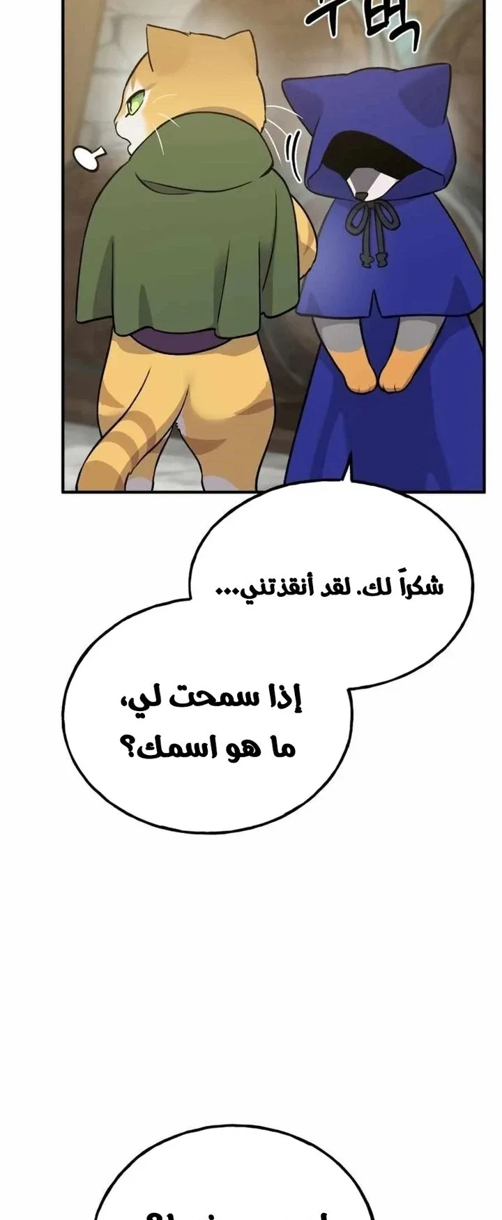 صفحة 17