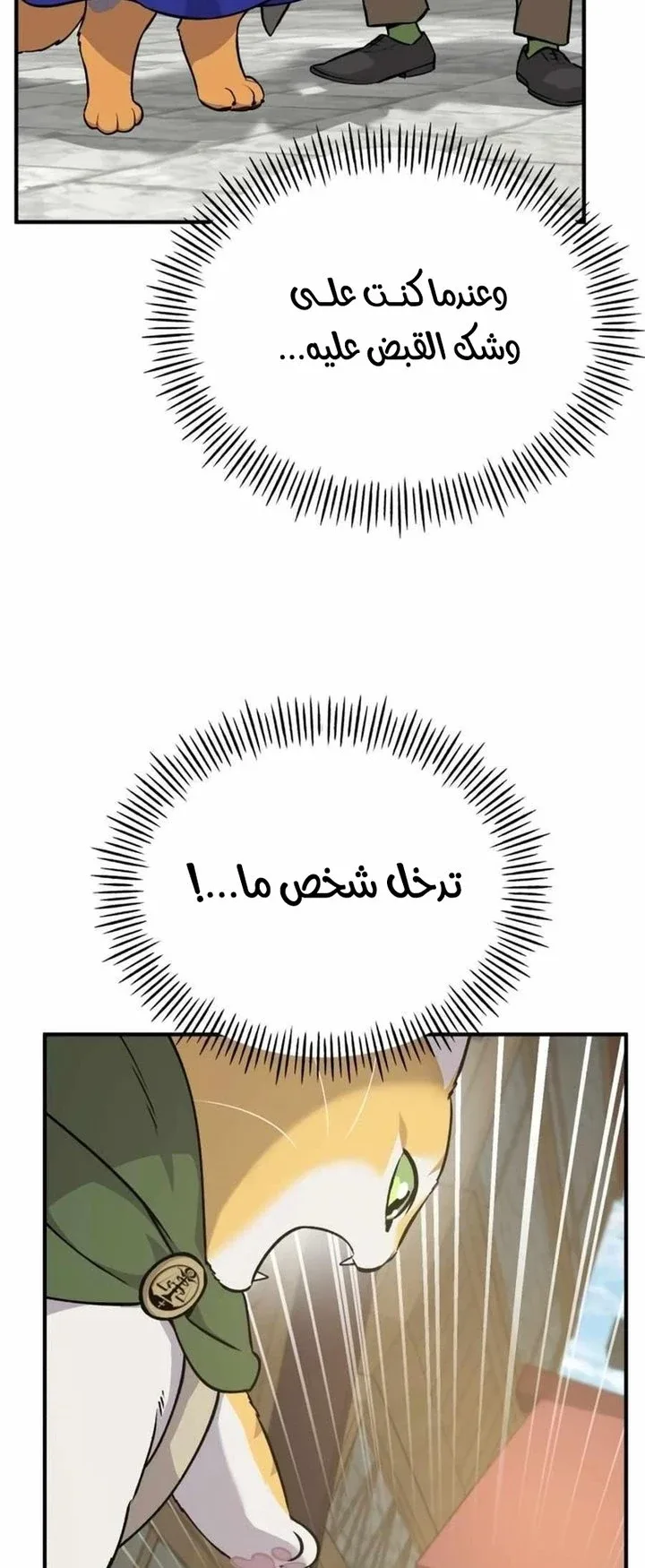 صفحة 37