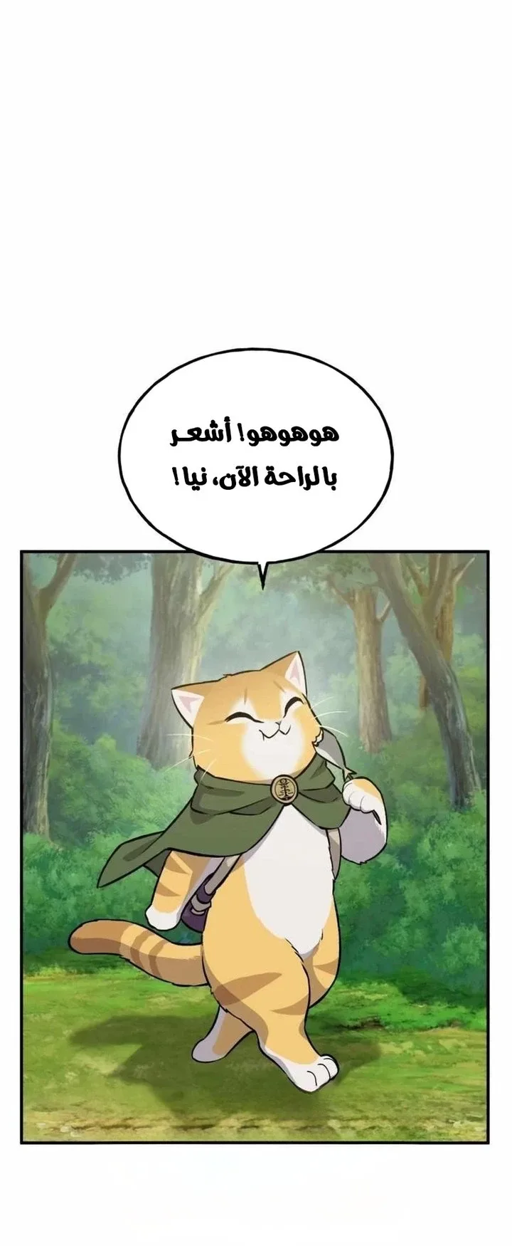 صفحة 41