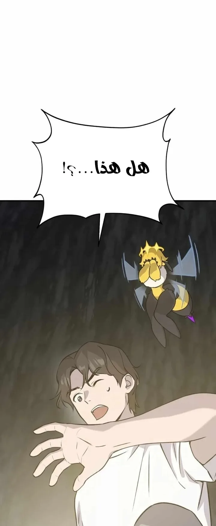 صفحة 82