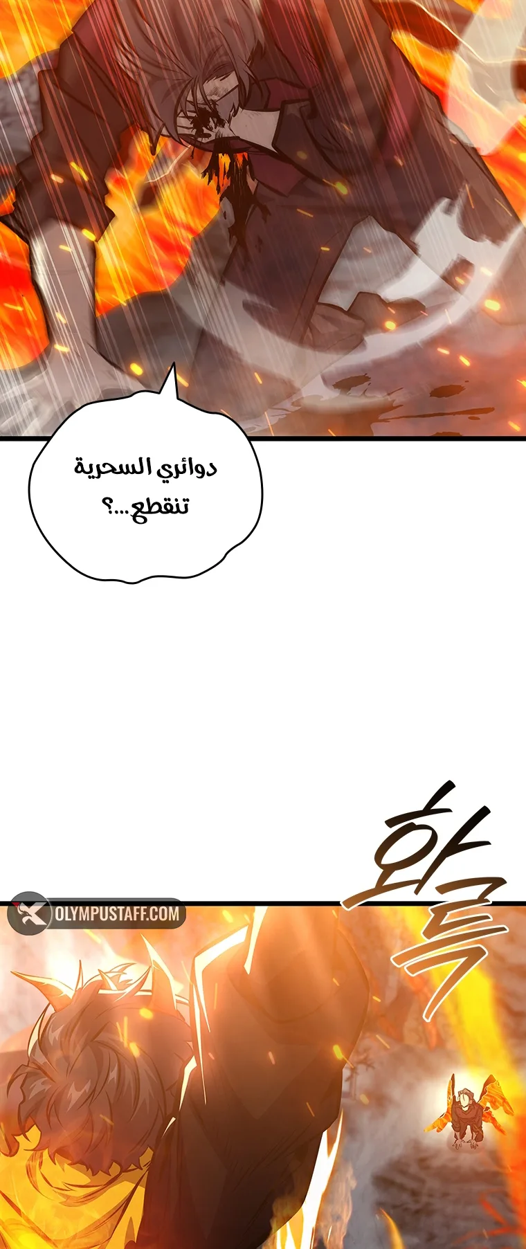 صفحة 13