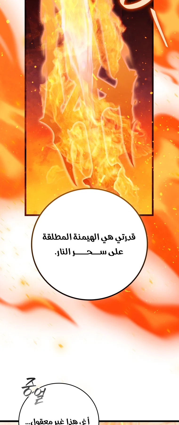 صفحة 17
