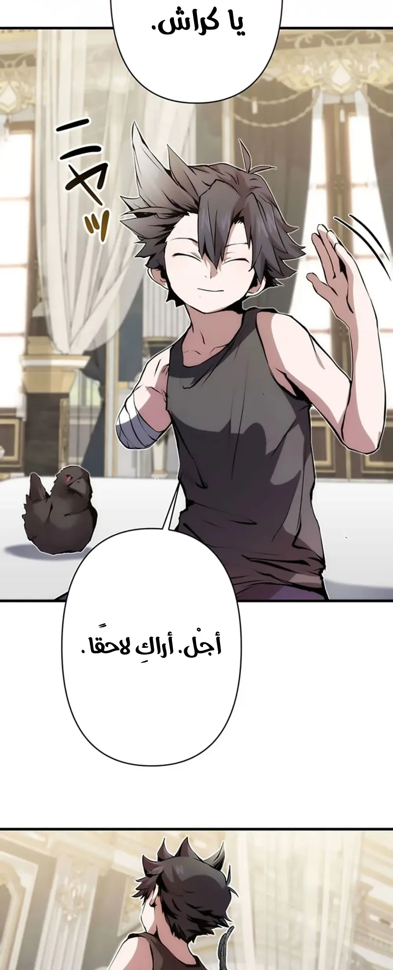 صفحة 17
