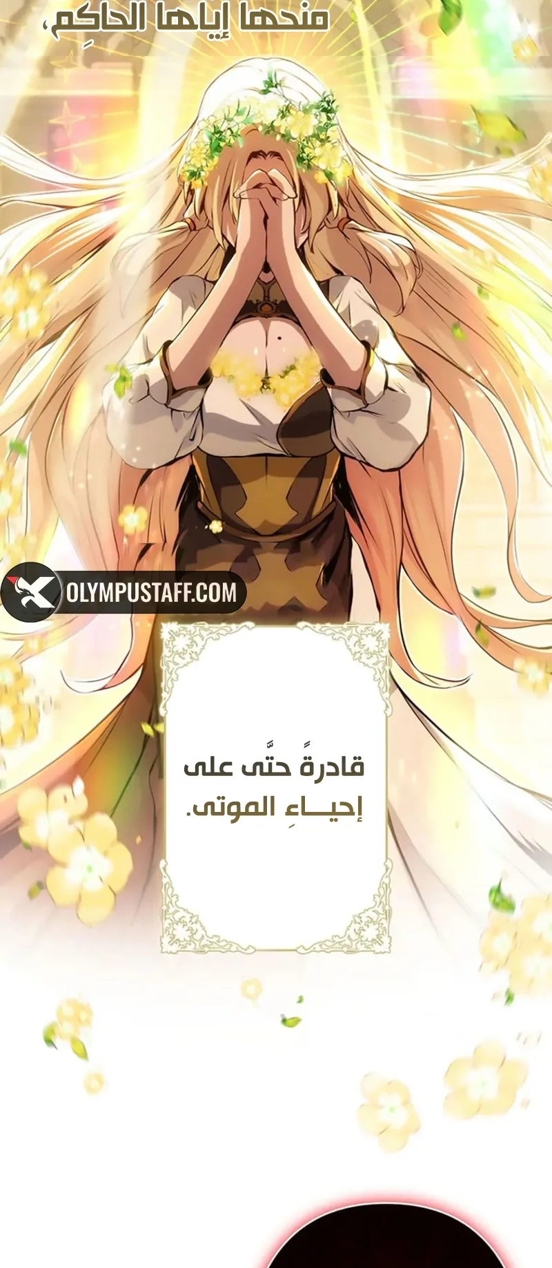صفحة 24