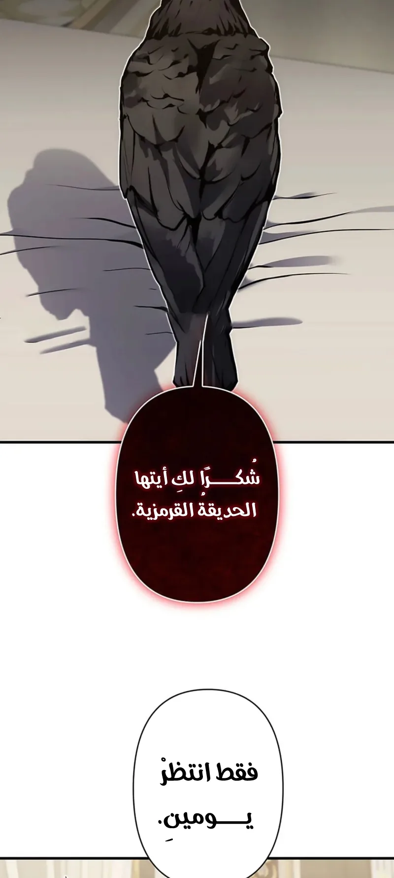 صفحة 46