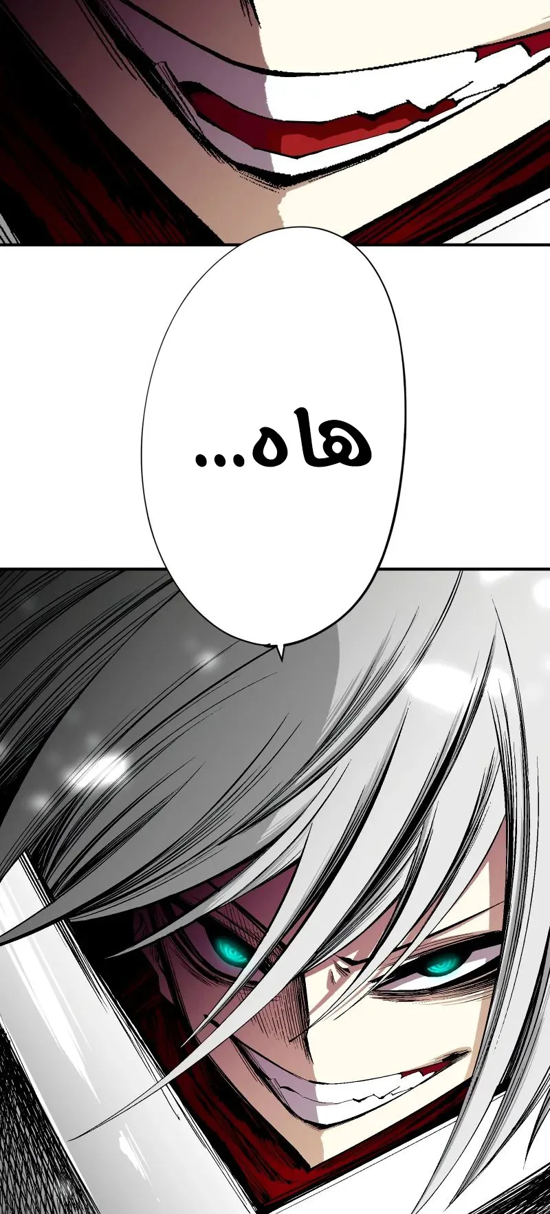 صفحة 14