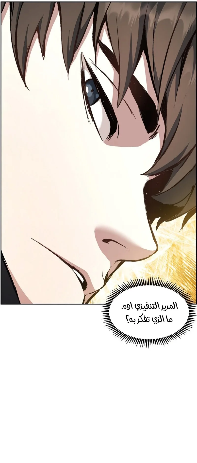 صفحة 17